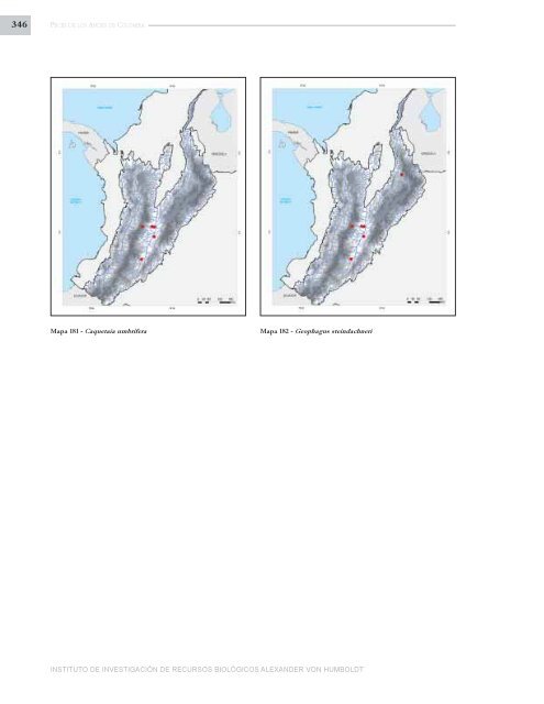 PECES DE LOS ANDES DE COLOMBIA - Instituto de InvestigaciÃ³n ...