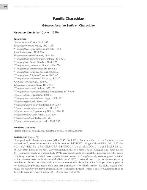 PECES DE LOS ANDES DE COLOMBIA - Instituto de InvestigaciÃ³n ...