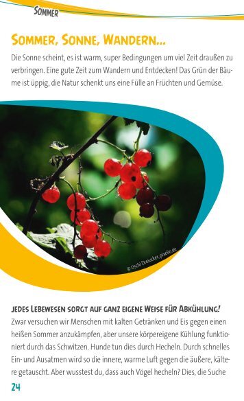 Spieletipps für den Sommer