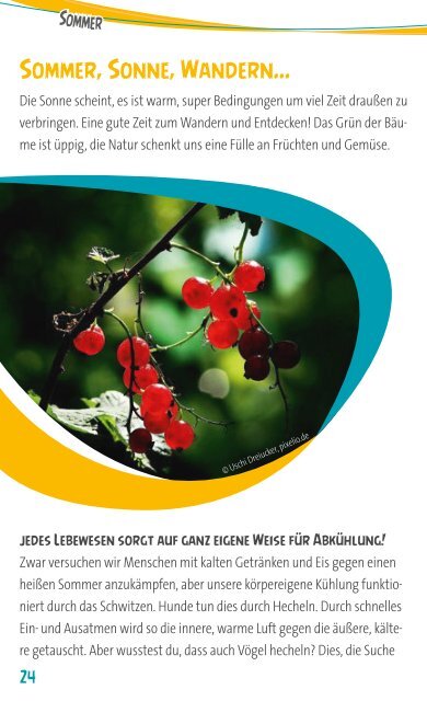 Spieletipps für den Sommer