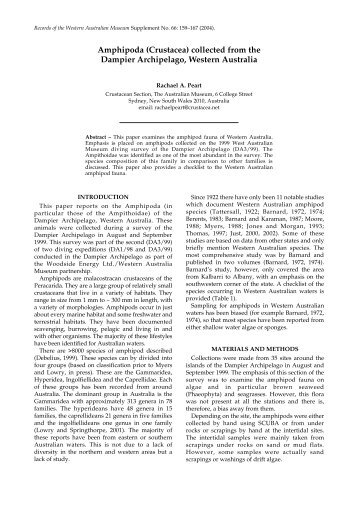 Amphipoda (Crustacea) collected from the Dampier Archipelago ...