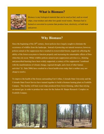 Biomass boiler fact sheet - News & Information - Colorado State ...