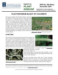 Plectosporium Blight - Vegetable and Fruit Crops Pathology