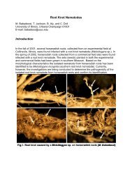 Root Knot Nematodes Introduction - Vegetable and Fruit Crops ...