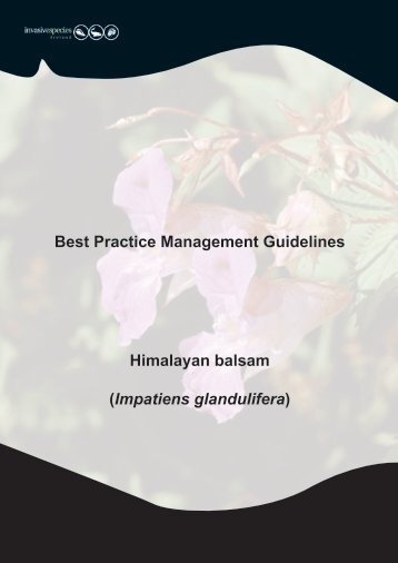 Best Practice Management Guidelines Himalayan balsam - Invasive ...