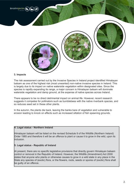 Best Practice Management Guidelines Himalayan balsam - Invasive ...