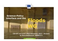 SPI and the floods WG - Onema