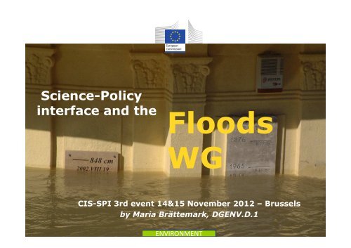 SPI and the floods WG - Onema
