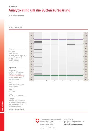 Analytik rund um die Buttersäuregärung