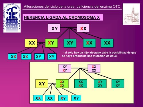 ALTERACIONES DEL CICLO DE LA UREA CON