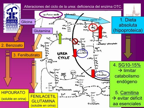 ALTERACIONES DEL CICLO DE LA UREA CON