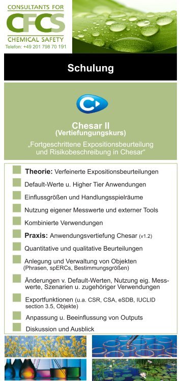 Schulung - CFCS-Consult GmbH