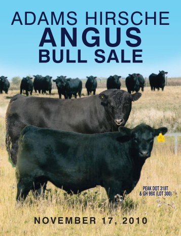 View Angus Catalog - Hirsche Herefords & Angus