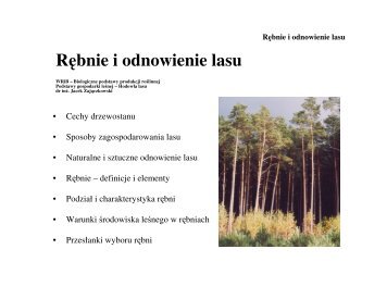 RÄbnie - Stary serwis WydziaÅu LeÅnego SGGW