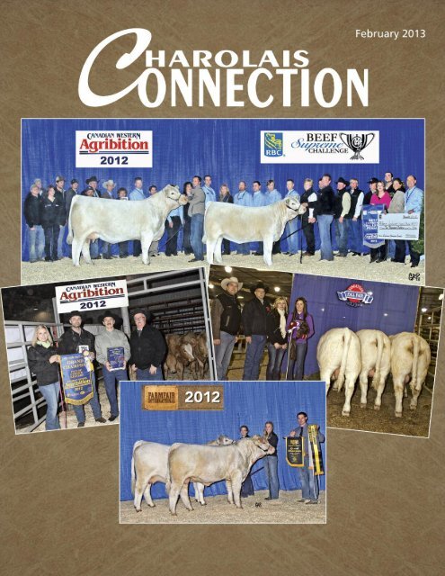 February 2013 Charolais Banner