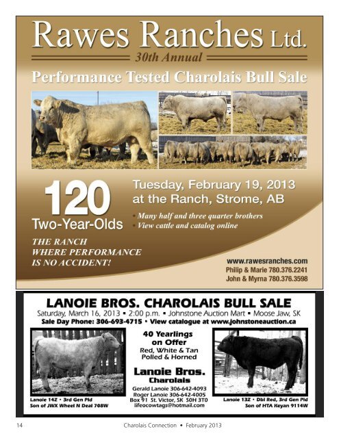 February 2013 - Charolais Banner