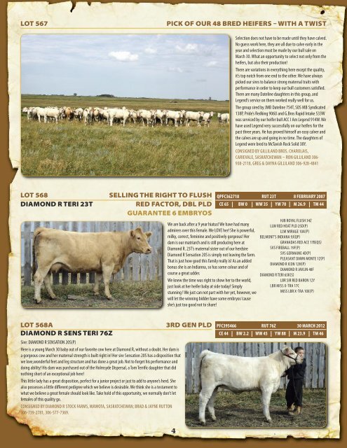 Click here to download pdf file &#40;2.2 mb&#41; - Charolais Banner