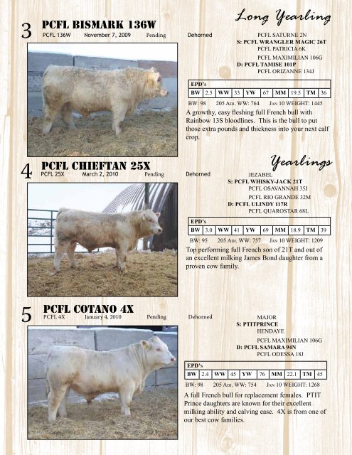 to download the pdf file - Charolais Banner