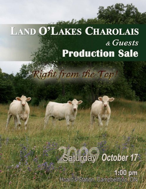 Land O'Lakes Charolais - Charolais Banner