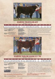 Harvie Miss Firefly 51F - Harvie Ranching