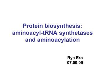 Protein biosynthesis: aminoacyl-tRNA synthetases and aminoacylation