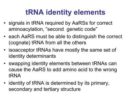 Protein biosynthesis: aminoacyl-tRNA synthetases and aminoacylation