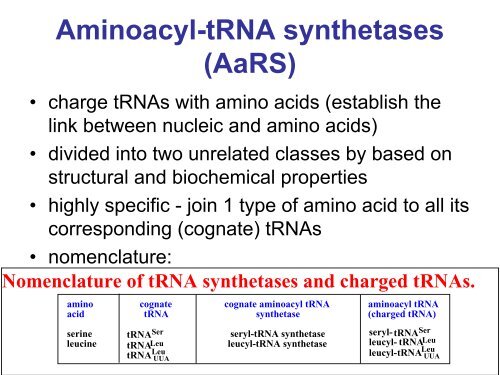 Protein biosynthesis: aminoacyl-tRNA synthetases and aminoacylation