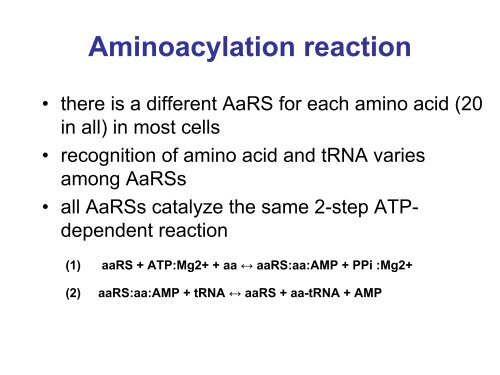 Protein biosynthesis: aminoacyl-tRNA synthetases and aminoacylation