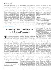 Unraveling DNA Condensation with Optical Tweezers - Zhuang
