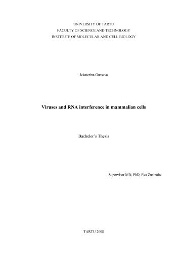 Viruses and RNA interference in mammalian cells