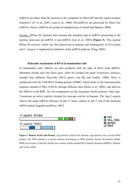 Viruses and RNA interference in mammalian cells