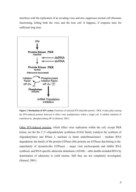 Viruses and RNA interference in mammalian cells