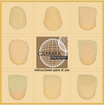 Carrara Interaction - Elephant Dental
