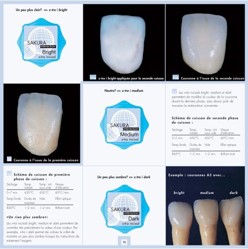 Sakura Interaction - DENTSPLY Prosthetics