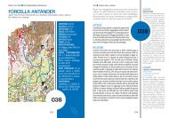 Scarica il PDF con l'anteprima del libro - Idea Montagna