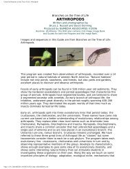 Arthropods - BioMedia Associates