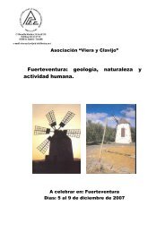 Fuerteventura: geología, naturaleza y - ACEC. Viera y Clavijo