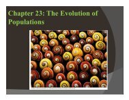 Chapter 23: The Evolution of Populations