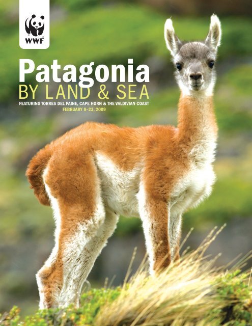 WWF Patagonia