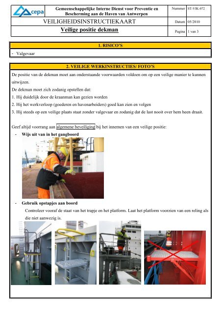 ST-VIK-072 - Cepa