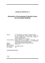 Delineation of Groundwater Protection Zones for the Hallabat Wellfield