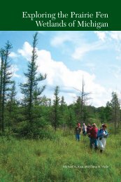 Exploring the Prairie Fen Wetlands of Michigan - Michigan Water ...