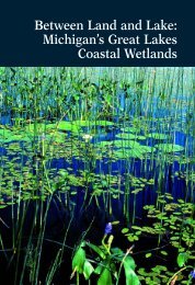 Michigan's Great Lakes Coastal Wetlands - Michigan Water ...