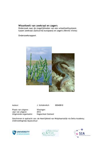 Wisselteelt van zeekraal en zagers - HZ University of Applied Sciences