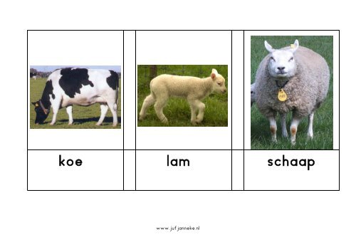 haan kuiken kalf www.jufj