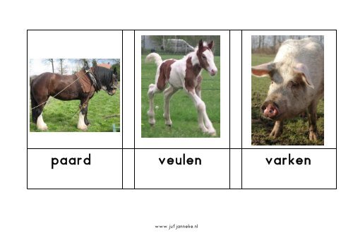 paard veulen varken www.j