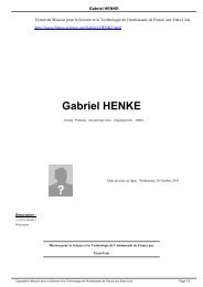 Gabriel HENKE - Mission pour la Science et la Technologie ...