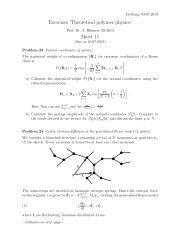 Exercises 'Theoretical polymer physics' Sheet 11