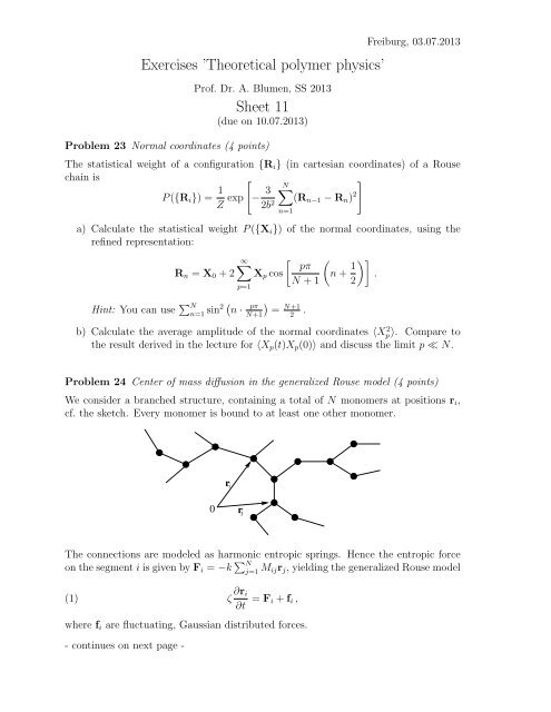 Exercises 'Theoretical polymer physics' Sheet 11