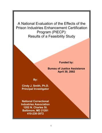 PIE Feasibility Study Final Report - National Correctional Industries ...